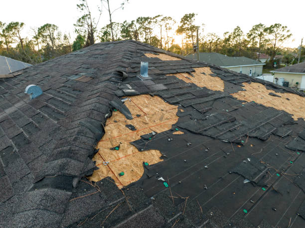 Best Storm Damage Roof Repair  in Mendon, IL