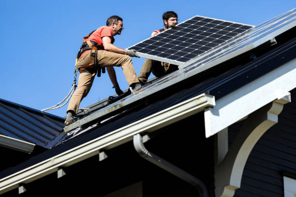 Best Roof Moss and Algae Removal  in Mendon, IL